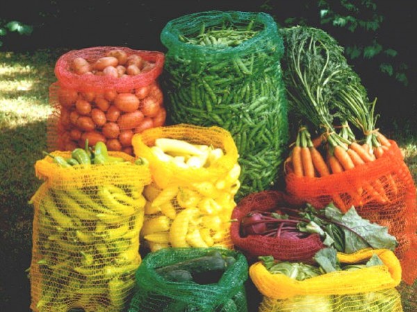 thumb_94_600_450_0_0_crop